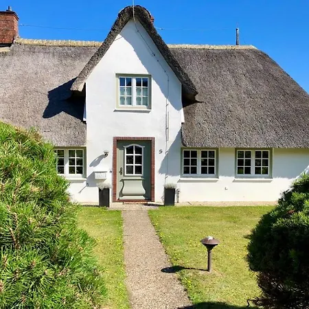 Moi's Hues Friesenhaus Moi S Hues 1